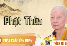 Phật Thừa – Thích Trí Quảng phat thua thich tri quang