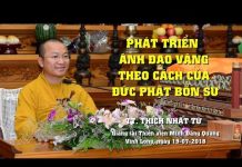 Phát Triển Ánh Đạo Vàng Theo Cách Của Đức Phật Bổn Sư – Thích Nhật Từ phat trien anh dao vang theo cac