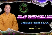 Phát triển căn lành – Thích Pháp Hòa phat trien can lanh thich phap h