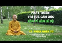 Phát Triển Trí Tuệ Cảm Xúc Bằng Kỹ Năng Xã Hội – Thích Nhật Từ phat trien tri tue cam xuc bang