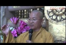 Phật tử cần tu tập những gì – Thích Nhật Từ phat tu can tu tap nhung gi thic