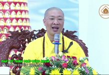 Phật Tử Thính Pháp Đúng Nghĩa – Thích Thiện Thuận phat tu thinh phap dung nghia th
