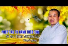 Phép Tắc Tu Hành Theo Tịnh Độ – Thích Nữ Như Lan phep tac tu hanh theo tinh do th