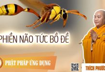 Phiền Não Tức Bồ Đề – Thích Phước Tiến phien nao tuc bo de thich phuoc