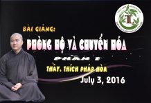 Phòng Hộ và Chuyển Hóa Phần 1 – Thích Pháp Hòa phong ho va chuyen hoa phan 1 th