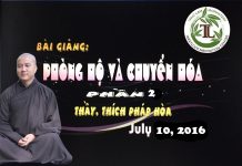 Phòng Hộ và Chuyển Hóa Phần 2 – Thích Pháp Hòa phong ho va chuyen hoa phan 2 th