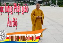 Phục hưng Phật giáo Ấn Độ – Thích Nhật Từ – 17/10/2004 phuc hung phat giao an do thich