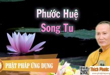 Phước Huệ Song Tu – Thích Phước Nghiêm 2016 phuoc hue song tu thich phuoc ng