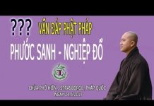 Phước Sanh – Nghiệp Đổ (Vấn Đáp) – Thích Pháp Hòa phuoc sanh nghiep do van dap thi