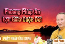 Phương Pháp An Lạc Giữa Cuộc Đời – Thích Phước Nghiêm 2016 phuong phap an lac giua cuoc doi