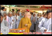 Phương Pháp Diễn Dịch Duyên Khởi Trong Hoằng Pháp – Thích Nhật Từ phuong phap dien dich duyen khoi