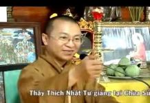 Phương pháp niệm Phật – Thích Nhật Từ phuong phap niem phat thich nhat