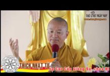 Phương Pháp Quy Nạp Nhân Quả Trong Hoằng Pháp – Thích Nhật Từ phuong phap quy nap nhan qua tro