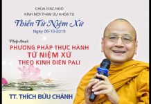 Phương pháp thực hành Tứ Niệm Xứ theo kinh điển Pali – Thích Bửu Chánh phuong phap thuc hanh tu niem xu