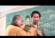 Phương Pháp Trị Bệnh Cho Người Nhà Phần 2 – Thích Trí Huệ phuong phap tri benh cho nguoi n 1