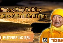 Phương Pháp Tu Đồng Và Khác Giữa Thiền Và Tịnh – Thích Thanh Từ phuong phap tu dong va khac giua