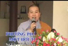 Phương Pháp Tu Hành Một Đời Thành Tựu – Thích Nữ Như Lan phuong phap tu hanh mot doi than