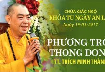Phương Trời Thong Dong Kỳ 11 – TT. Thích Minh Thành phuong troi thong dong ky 11 tt