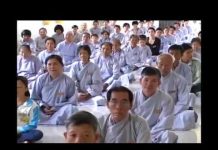 Quả Báo Của Bốn Hạng Người Tu – Thích Trí Huệ qua bao cua bon hang nguoi tu th
