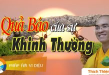 Quả Báo Của Sự Khinh Thường – Thích Thiện Tuệ qua bao cua su khinh thuong thic