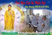 Quả Báo Đẹp Của Sự Nhẫn Nại – Thích Giác Hóa qua bao dep cua su nhan nai thic