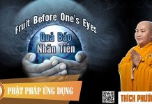 Quả Báo Nhãn Tiền (Fruit Before One’s Eyes) – Thích Phước Tiến qua bao nhan tien fruit before o