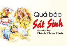 Quả báo sát sinh – Thầy Thích Chân Tính qua bao sat sinh thay thich chan