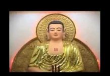 Quả Báu Sa Môn – Thích Thiện Minh qua bau sa mon thich thien minh