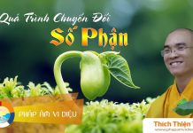 Quá Trình Chuyển Đổi Số Phận – Thích Thiện Tuệ qua trinh chuyen doi so phan thi