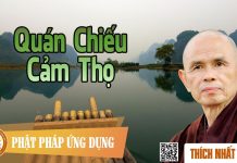 Quán Chiếu Cảm Thọ – Thích Nhất Hạnh quan chieu cam tho thich nhat ha