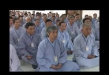 Quán Chiếu Nỗi Niềm – Thích Trí Chơn quan chieu noi niem thich tri ch