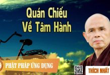 Quán Chiếu Về Tâm Hành – Thích Nhất Hạnh quan chieu ve tam hanh thich nha