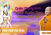 Quán Chúng Sinh Nghiệp Duyên Theo Hạnh Quan Âm – Thích Phước Tiến quan chung sinh nghiep duyen the