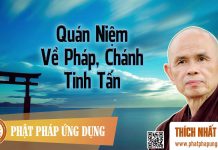 Quán Niệm Về Pháp, Chánh Tinh Tấn – Thích Nhất Hạnh quan niem ve phap chanh tinh tan