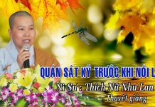 Quán Sát Kỹ Trước Khi Nói Làm – Thích Nữ Như Lan quan sat ky truoc khi noi lam th
