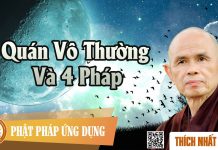 Quán Vô Thường Và 4 Pháp – Thích Nhất Hạnh quan vo thuong va 4 phap thich n