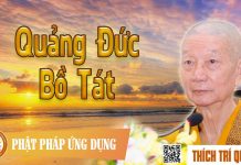 Quảng Đức Bồ Tát – Thích Trí Quảng quang duc bo tat thich tri quang