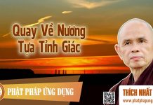 Quay Về Nương Tựa Tỉnh Giác – Thích Nhất Hạnh quay ve nuong tua tinh giac thic
