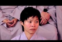 Quy Luật Của Giới Pháp – Thích Trí Huệ quy luat cua gioi phap thich tri