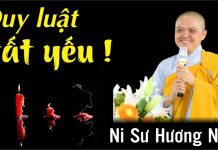 Quy luật tất yếu – Thích Nữ Hương Nhũ quy luat tat yeu thich nu huong