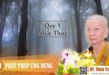 Quy Y Nhất Thừa – Thích Trí Quảng quy y nhat thua thich tri quang