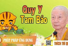 Quy Y Tam Bảo – Thích Trí Quảng quy y tam bao thich tri quang