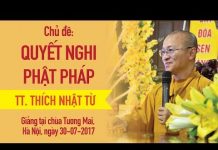 Quyết Nghi Phật Pháp – Thích Nhật Từ quyet nghi phat phap thich nhat
