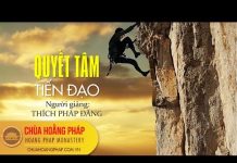 Quyết Tâm Tiến Đạo – Thích Pháp Đăng quyet tam tien dao thich phap da