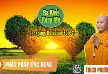 Ra Khỏi Rừng Mê (Escaping Delusion Forest) – Thích Phước Tiến ra khoi rung me escaping delusio