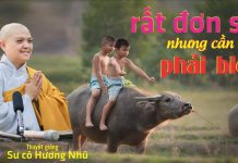 Rất Đơn Sơ Nhưng Cần Phải Biết – Thích Nữ Hương Nhũ rat don so nhung can phai biet t