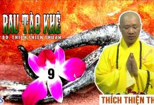 Rau Tào Khê Phần 9 – Thích Thiện Thuận rau tao khe phan 9 thich thien t