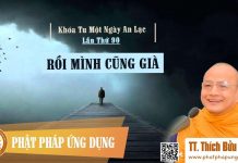 Rồi Mình Cũng Già (KT90 ) – Thích Bửu Chánh roi minh cung gia kt90 thich buu