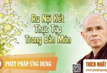 Ru Nội Kết – Thực Tập Trong Bản Môn – Thích Nhất Hạnh ru noi ket thuc tap trong ban mo