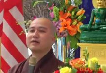 Rùa và Cá – Thích Pháp Hòa rua va ca thich phap hoa